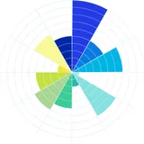 The values wheel